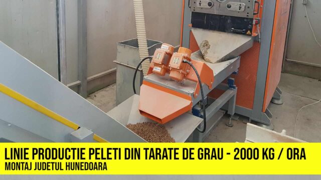 Linie productie peleti din tarate de grau capacitate 2000 kg pe ora - Nova Pellet Italia