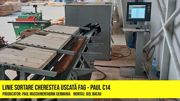 Linie optimizare cu sortare cherestea uscata Paul C14 - montaj Bacau